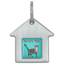 Placa Para Mascotas Guay Tabby Cat Eres Un Gato De Guay