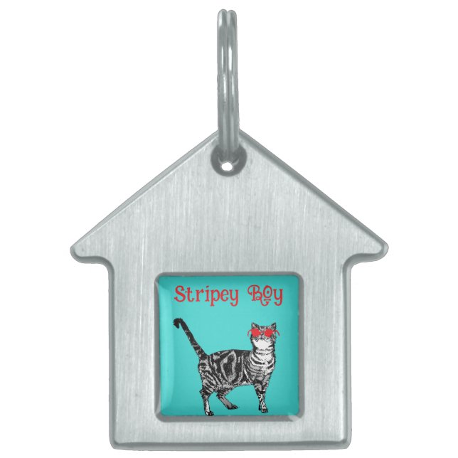 Placa Para Mascotas Guay Tabby Cat Eres Un Gato De Guay (Frente)