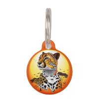 Guepardo Felino Africano Animal Salvaje