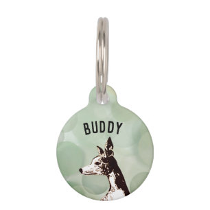 Placa Para Mascotas Guión