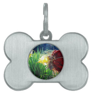 Placa Para Mascotas Hadas en los Daffodils