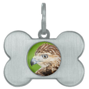 Placa Para Mascotas Halcón rojo juvenil
