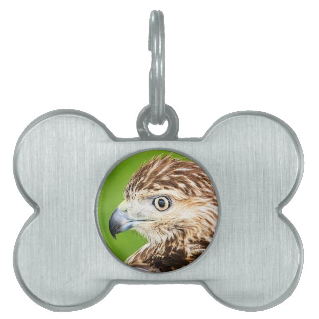 Placa Para Mascotas Halcón rojo juvenil (Frente)
