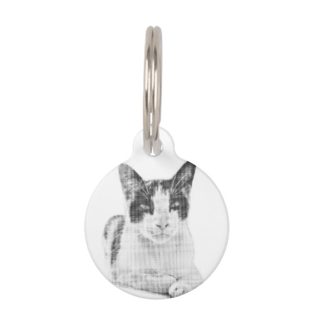 Placa Para Mascotas Halftone Calico Charm (Anverso)