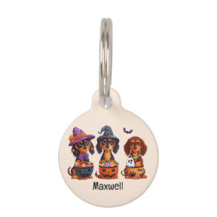 Placa Para Mascotas Halloween Dachshund Perros Calabaza Cubo de Vela