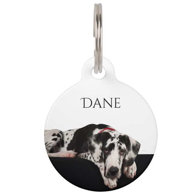 Placa Para Mascotas Harlequin great dane