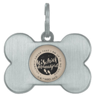 Placa Para Mascotas Harry Potter | Tipografía de Encantos del Mapa del