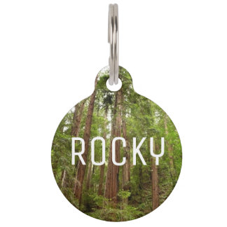 Placa Para Mascotas Hasta Redwoods I en el Monumento Nacional Muir Woo