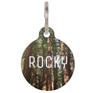 Placa Para Mascotas Hasta Redwoods II en el Monumento Nacional Muir Wo