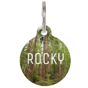 Placa Para Mascotas Hasta secuoyas en el Monumento Nacional Muir Woods