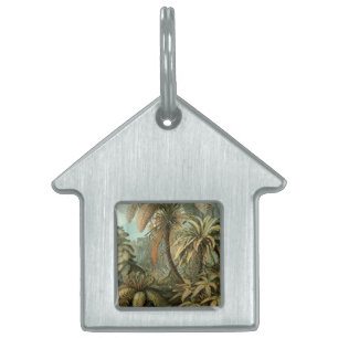 Placa Para Mascotas Helechos Palma Árbol Antiguo Arte Botánico Helecho