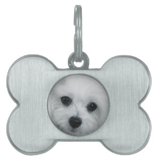 Placa Para Mascotas Hermes de Malta