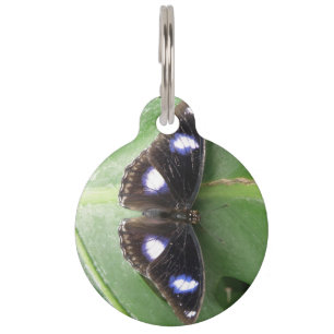 Placa Para Mascotas Hermosa etiqueta de perro Personalizado de maripos