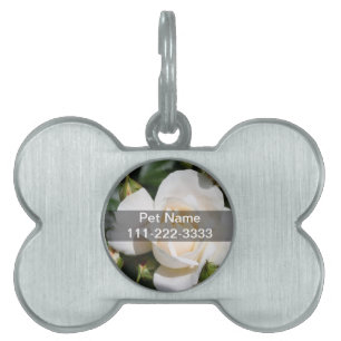 Placa Para Mascotas hermosa flor de rosa blanca. amor y romance