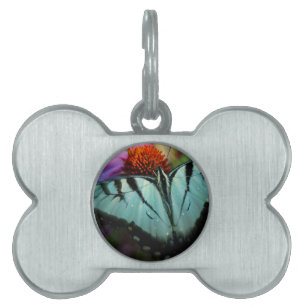 Placa Para Mascotas Hermosa mariposa turquesa