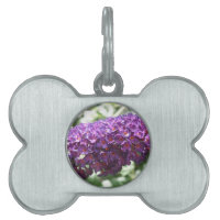 Hermosa púrpura Buddleia Flores Pet Tag