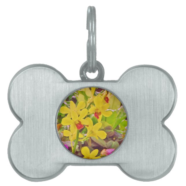 Placa Para Mascotas Hermosas orquídeas amarillas de otoño (Frente)