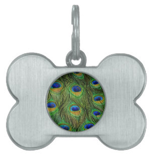 Placa Para Mascotas Hermosas plumas de pavo real