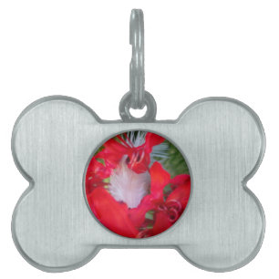 Placa Para Mascotas Hermoso Alien Crimson.jpg