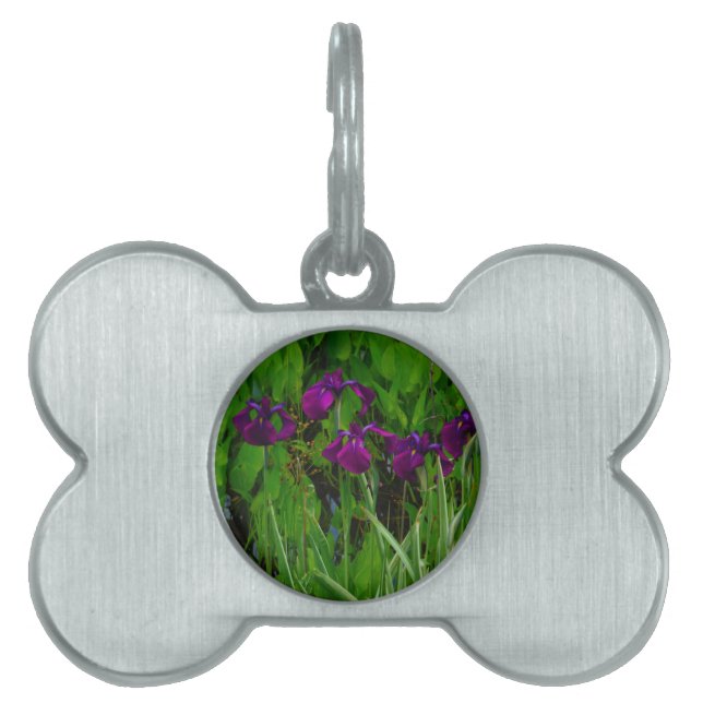 Placa Para Mascotas Hermoso Iris Morado (Frente)