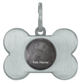 Placa Para Mascotas Hermoso Labrador Recuperador