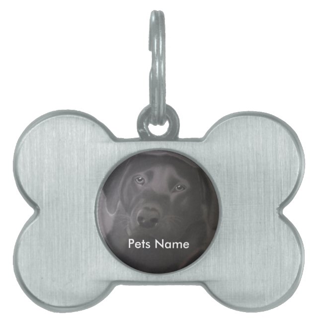 Placa Para Mascotas Hermoso Labrador Recuperador (Frente)