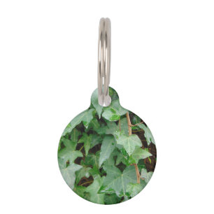Placa Para Mascotas Hiedra que sube verde 0237