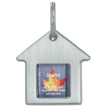 Hoja de arce del otoño