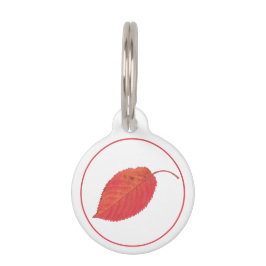 Placa Para Mascotas Hoja de otoño roja minimalista e info de mascota