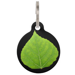 Placa Para Mascotas Hoja verde #11 de Aspen