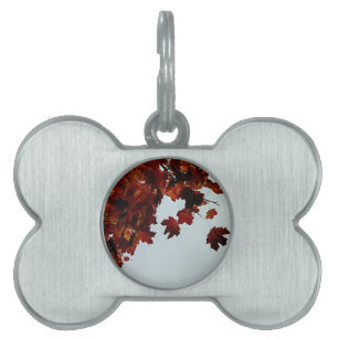 Placa Para Mascotas Hojas de color