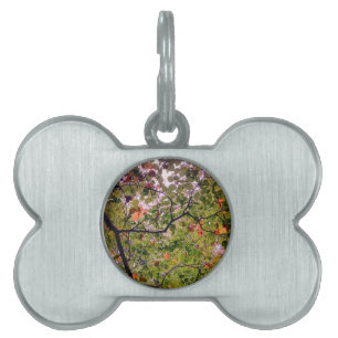 Placa Para Mascotas Hojas en los árboles