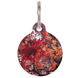 Placa Para Mascotas hojas naranja y roja