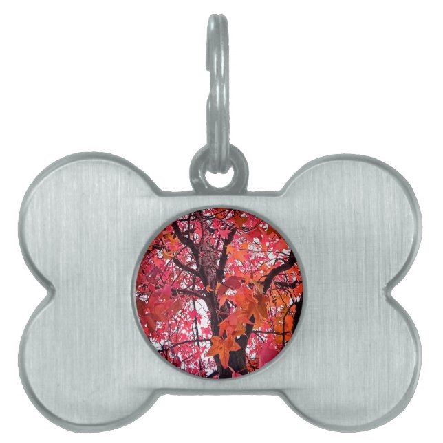 Placa Para Mascotas hojas naranja y rosa (Frente)