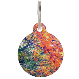 Placa Para Mascotas hojas naranjas