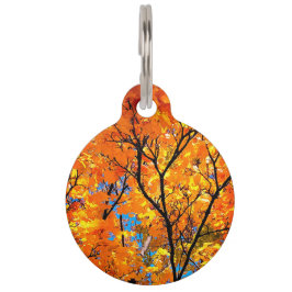 Placa Para Mascotas hojas naranjas