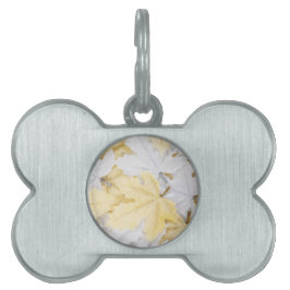Placa Para Mascotas Hojas otoñales