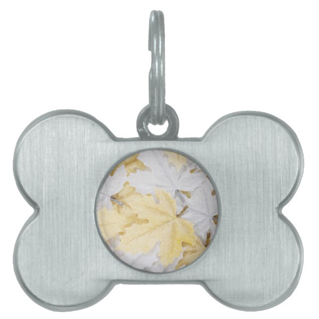 Placa Para Mascotas Hojas otoñales (Frente)