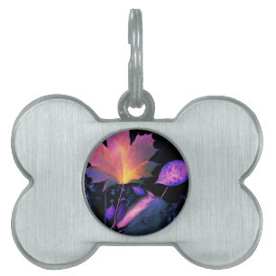 Placa Para Mascotas Hojas otoñales en Neon