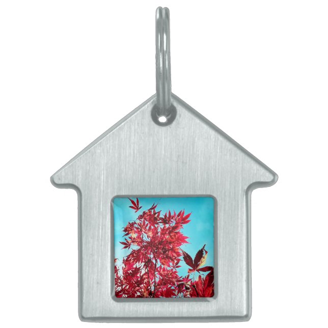 Placa Para Mascotas Hojas rojas (Frente)