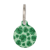 Hojas tropicales de palma verde Monstera e informa