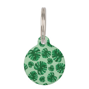 Placa Para Mascotas Hojas tropicales de palma verde Monstera e informa