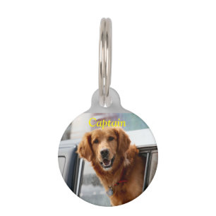 Placa Para Mascotas Hola