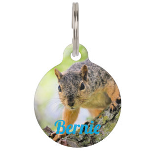 Placa Para Mascotas Hola