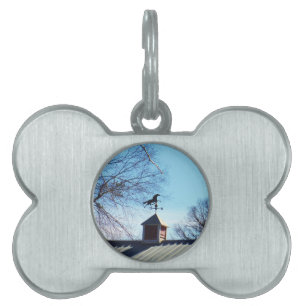 Placa Para Mascotas Horario Vane Blue Sky