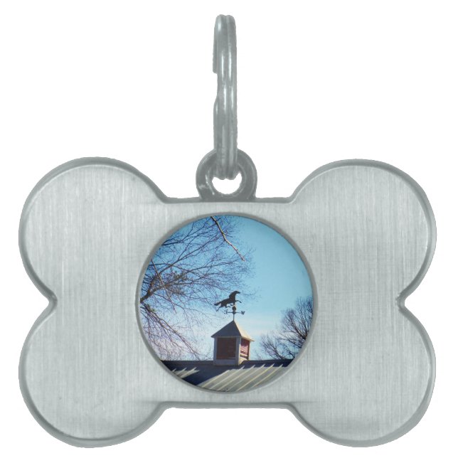 Placa Para Mascotas Horario Vane Blue Sky (Frente)