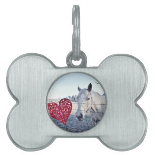 Placa Para Mascotas HORSE Valentine