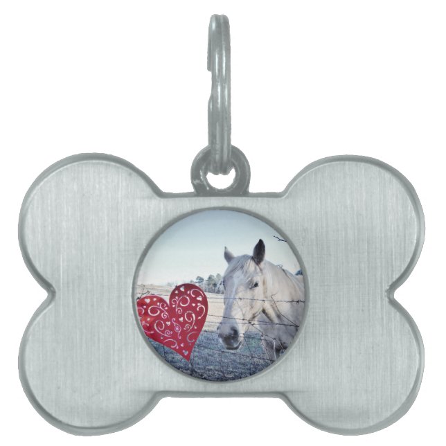 Placa Para Mascotas HORSE Valentine (Frente)