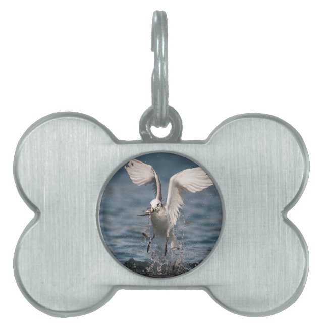 Placa Para Mascotas Hovering Kittiwake (Frente)