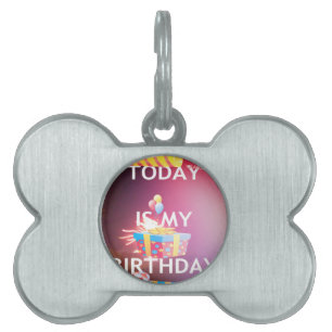 Placa Para Mascotas Hoy es mi arte de cumpleaños